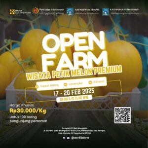 Open Farm Wisata Petik Melon Premium